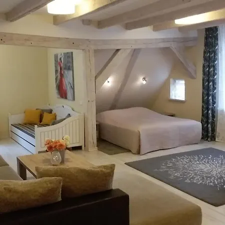 Apartment Studio Apartment