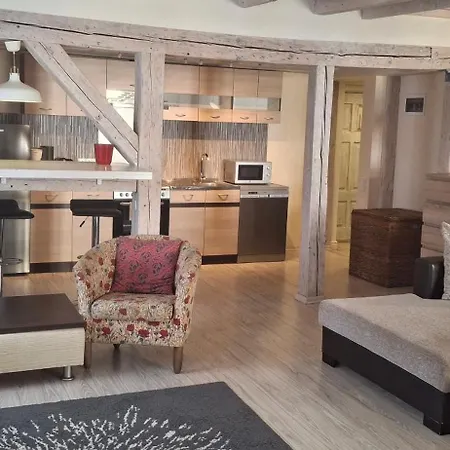 Apartment, Free Parking * パルヌ